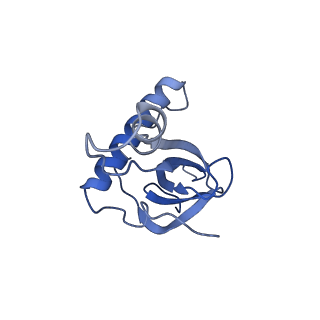 11437_6zu5_LZ0_v1-1
Structure of the Paranosema locustae ribosome in complex with Lso2