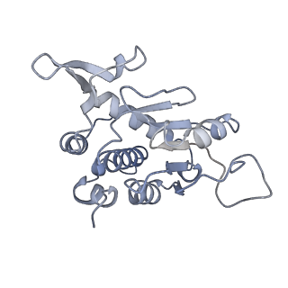 11437_6zu5_SA0_v1-1
Structure of the Paranosema locustae ribosome in complex with Lso2
