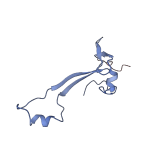11437_6zu5_SAA_v1-1
Structure of the Paranosema locustae ribosome in complex with Lso2