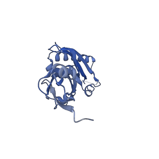 11437_6zu5_SB0_v1-1
Structure of the Paranosema locustae ribosome in complex with Lso2