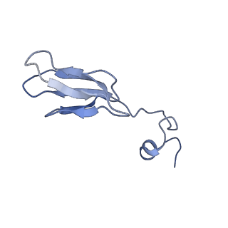 11437_6zu5_SBB_v1-1
Structure of the Paranosema locustae ribosome in complex with Lso2