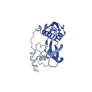 11437_6zu5_SC0_v1-1
Structure of the Paranosema locustae ribosome in complex with Lso2