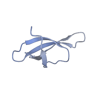 11437_6zu5_SCC_v1-1
Structure of the Paranosema locustae ribosome in complex with Lso2