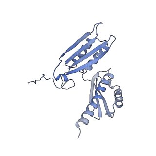 11437_6zu5_SD0_v1-1
Structure of the Paranosema locustae ribosome in complex with Lso2