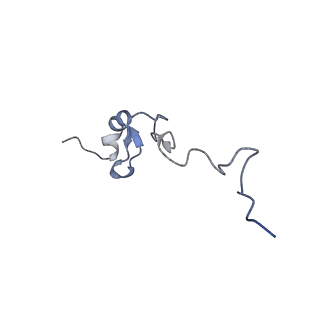 11437_6zu5_SDD_v1-1
Structure of the Paranosema locustae ribosome in complex with Lso2