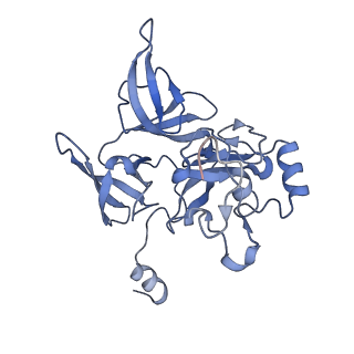 11437_6zu5_SE0_v1-1
Structure of the Paranosema locustae ribosome in complex with Lso2
