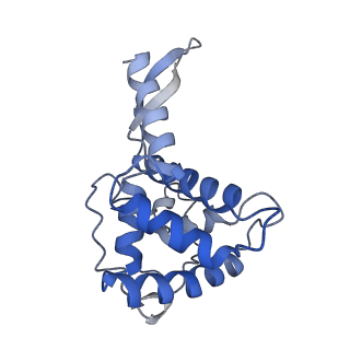 11437_6zu5_SF0_v1-1
Structure of the Paranosema locustae ribosome in complex with Lso2
