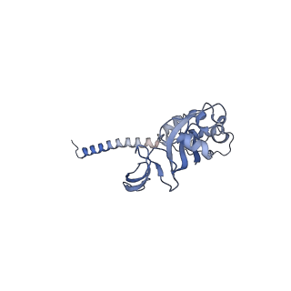 11437_6zu5_SG0_v1-1
Structure of the Paranosema locustae ribosome in complex with Lso2