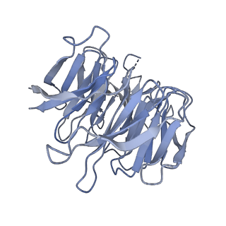 11437_6zu5_SGG_v1-1
Structure of the Paranosema locustae ribosome in complex with Lso2
