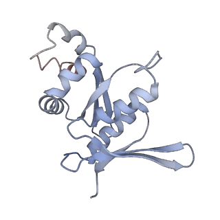 11437_6zu5_SH0_v1-1
Structure of the Paranosema locustae ribosome in complex with Lso2