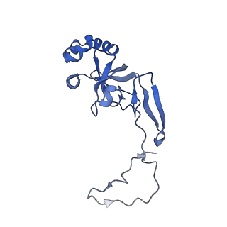 11437_6zu5_SI0_v1-1
Structure of the Paranosema locustae ribosome in complex with Lso2