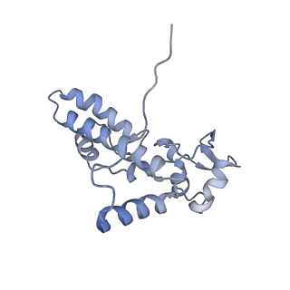 11437_6zu5_SJ0_v1-1
Structure of the Paranosema locustae ribosome in complex with Lso2