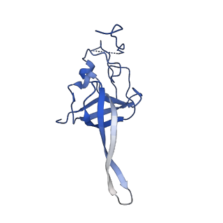 11437_6zu5_SL0_v1-1
Structure of the Paranosema locustae ribosome in complex with Lso2