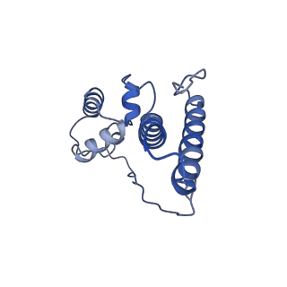 11437_6zu5_SN0_v1-1
Structure of the Paranosema locustae ribosome in complex with Lso2