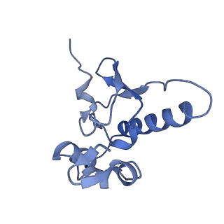 11437_6zu5_SP0_v1-1
Structure of the Paranosema locustae ribosome in complex with Lso2