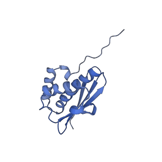 11437_6zu5_SQ0_v1-1
Structure of the Paranosema locustae ribosome in complex with Lso2