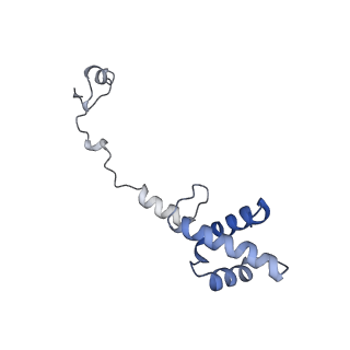 11437_6zu5_SR0_v1-1
Structure of the Paranosema locustae ribosome in complex with Lso2