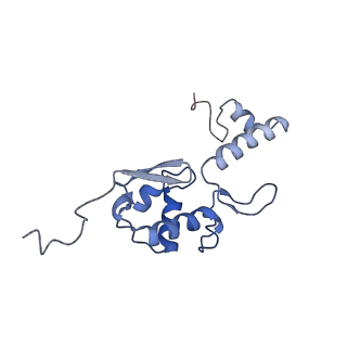 11437_6zu5_SS0_v1-1
Structure of the Paranosema locustae ribosome in complex with Lso2