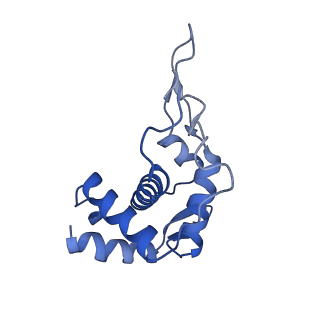11437_6zu5_ST0_v1-1
Structure of the Paranosema locustae ribosome in complex with Lso2