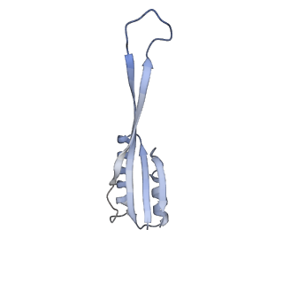 11437_6zu5_SU0_v1-1
Structure of the Paranosema locustae ribosome in complex with Lso2