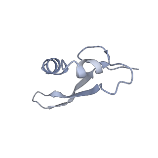 11437_6zu5_SV0_v1-1
Structure of the Paranosema locustae ribosome in complex with Lso2