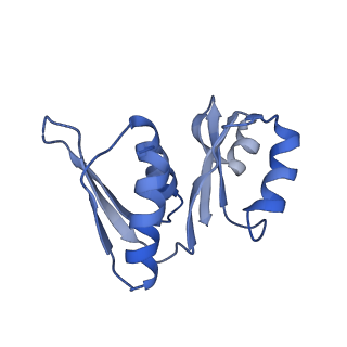 11437_6zu5_SW0_v1-1
Structure of the Paranosema locustae ribosome in complex with Lso2