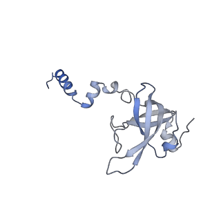 11437_6zu5_SX0_v1-1
Structure of the Paranosema locustae ribosome in complex with Lso2