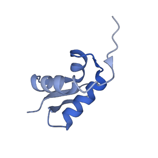 11437_6zu5_SZ0_v1-1
Structure of the Paranosema locustae ribosome in complex with Lso2