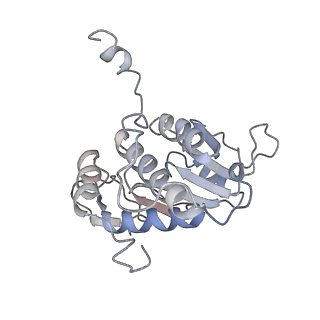 11440_6zuo_A_v1-0
Human RIO1(kd)-StHA late pre-40S particle, structural state A (pre 18S rRNA cleavage)