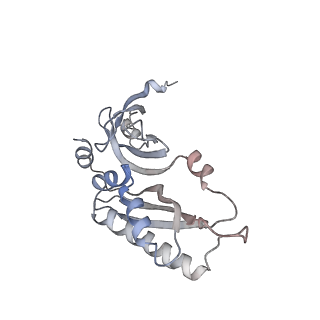 11440_6zuo_B_v1-0
Human RIO1(kd)-StHA late pre-40S particle, structural state A (pre 18S rRNA cleavage)