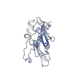 11440_6zuo_C_v1-0
Human RIO1(kd)-StHA late pre-40S particle, structural state A (pre 18S rRNA cleavage)