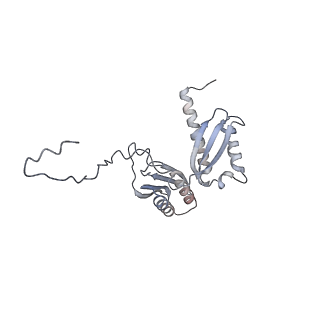 11440_6zuo_D_v1-0
Human RIO1(kd)-StHA late pre-40S particle, structural state A (pre 18S rRNA cleavage)