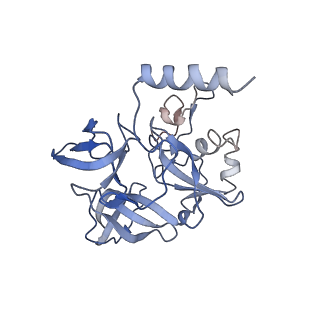 11440_6zuo_E_v1-0
Human RIO1(kd)-StHA late pre-40S particle, structural state A (pre 18S rRNA cleavage)
