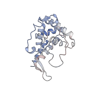 11440_6zuo_F_v1-0
Human RIO1(kd)-StHA late pre-40S particle, structural state A (pre 18S rRNA cleavage)