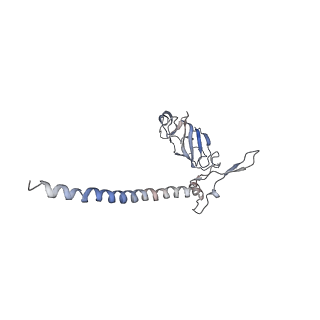 11440_6zuo_G_v1-0
Human RIO1(kd)-StHA late pre-40S particle, structural state A (pre 18S rRNA cleavage)