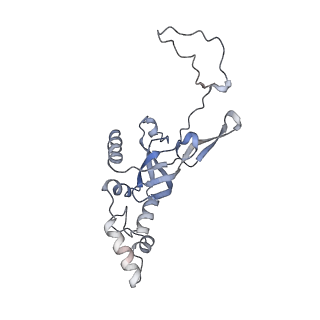 11440_6zuo_I_v1-0
Human RIO1(kd)-StHA late pre-40S particle, structural state A (pre 18S rRNA cleavage)