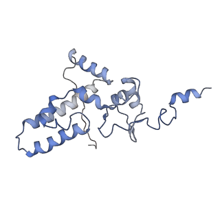 11440_6zuo_J_v1-0
Human RIO1(kd)-StHA late pre-40S particle, structural state A (pre 18S rRNA cleavage)