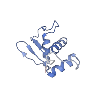 11440_6zuo_K_v1-0
Human RIO1(kd)-StHA late pre-40S particle, structural state A (pre 18S rRNA cleavage)