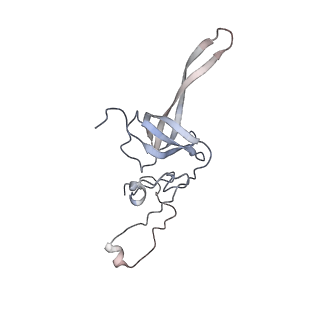 11440_6zuo_L_v1-0
Human RIO1(kd)-StHA late pre-40S particle, structural state A (pre 18S rRNA cleavage)