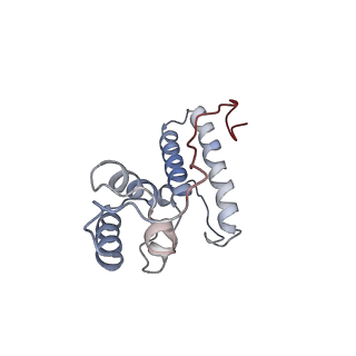 11440_6zuo_N_v1-0
Human RIO1(kd)-StHA late pre-40S particle, structural state A (pre 18S rRNA cleavage)
