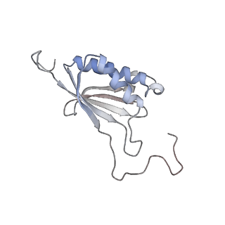 11440_6zuo_O_v1-0
Human RIO1(kd)-StHA late pre-40S particle, structural state A (pre 18S rRNA cleavage)