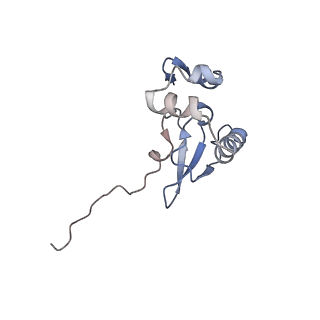 11440_6zuo_P_v1-0
Human RIO1(kd)-StHA late pre-40S particle, structural state A (pre 18S rRNA cleavage)