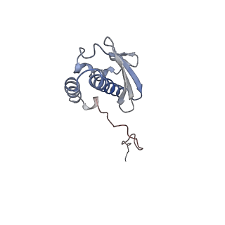 11440_6zuo_Q_v1-0
Human RIO1(kd)-StHA late pre-40S particle, structural state A (pre 18S rRNA cleavage)