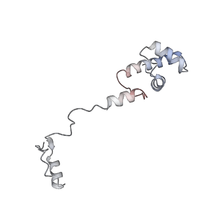 11440_6zuo_R_v1-0
Human RIO1(kd)-StHA late pre-40S particle, structural state A (pre 18S rRNA cleavage)