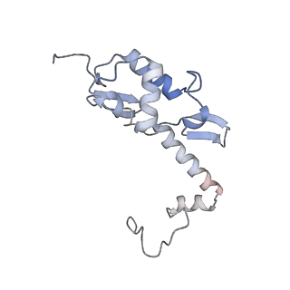 11440_6zuo_S_v1-0
Human RIO1(kd)-StHA late pre-40S particle, structural state A (pre 18S rRNA cleavage)