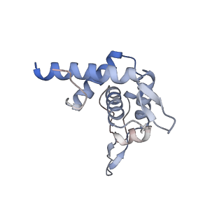 11440_6zuo_T_v1-0
Human RIO1(kd)-StHA late pre-40S particle, structural state A (pre 18S rRNA cleavage)
