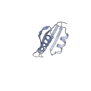 11440_6zuo_U_v1-0
Human RIO1(kd)-StHA late pre-40S particle, structural state A (pre 18S rRNA cleavage)