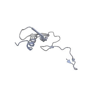 11440_6zuo_V_v1-0
Human RIO1(kd)-StHA late pre-40S particle, structural state A (pre 18S rRNA cleavage)