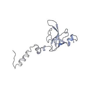 11440_6zuo_X_v1-0
Human RIO1(kd)-StHA late pre-40S particle, structural state A (pre 18S rRNA cleavage)
