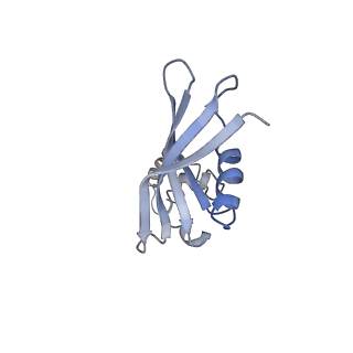 11440_6zuo_Y_v1-0
Human RIO1(kd)-StHA late pre-40S particle, structural state A (pre 18S rRNA cleavage)